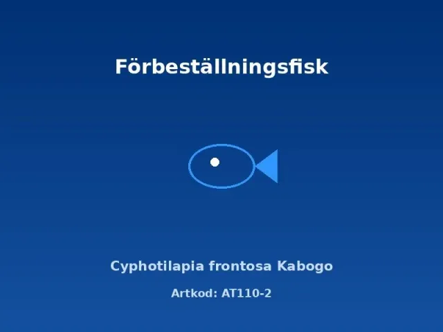 Näsets Ciklidhobby Frontosa Kabogo ciklid 5–6 cm