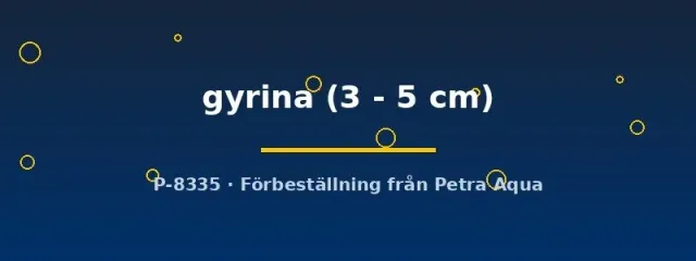 Tatia gyrina mal nattaktiv 3-5 cm flockfisk