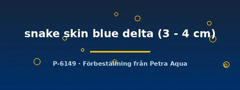 Näsets Ciklidhobby guppy snakeskin blue delta hane 3–4 cm
