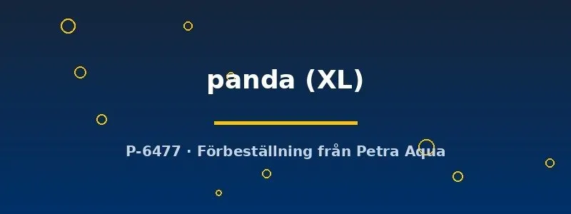 Poecilia reticulata panda guppy hona XL odlad