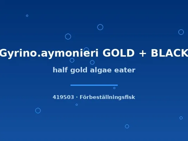 Näsets Ciklidhobby Gyrinocheilus Half Gold algätare 4–6 cm