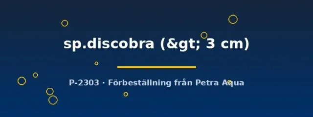 Näsets Ciklidhobby Discobra tetrafisk över 3 cm