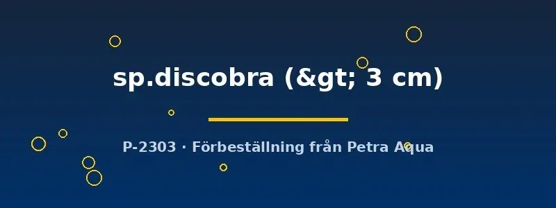 Näsets Ciklidhobby Discobra tetrafisk över 3 cm