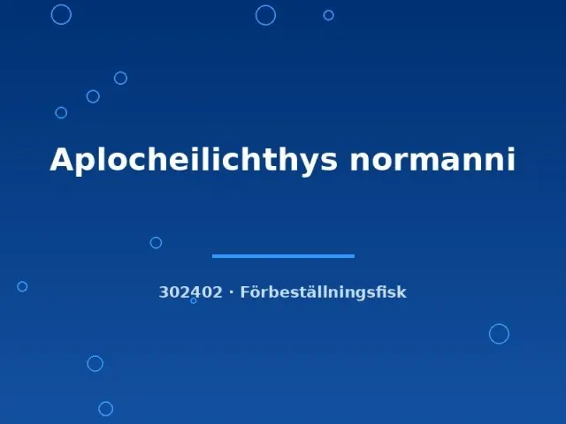 Näsets Ciklidhobby Aplocheilichthys normanni akvariefisk md
