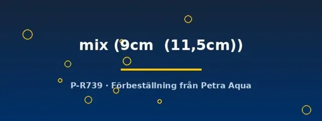 Symphysodon mix diskus 9–11,5 cm