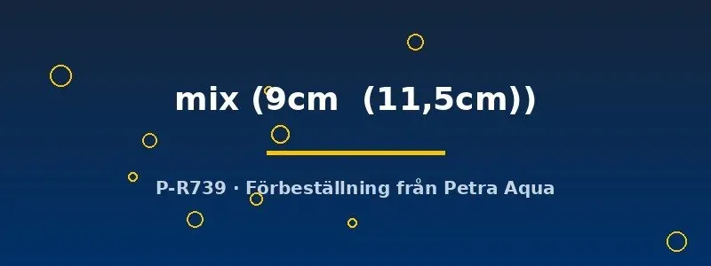 Symphysodon mix diskus 9–11,5 cm
