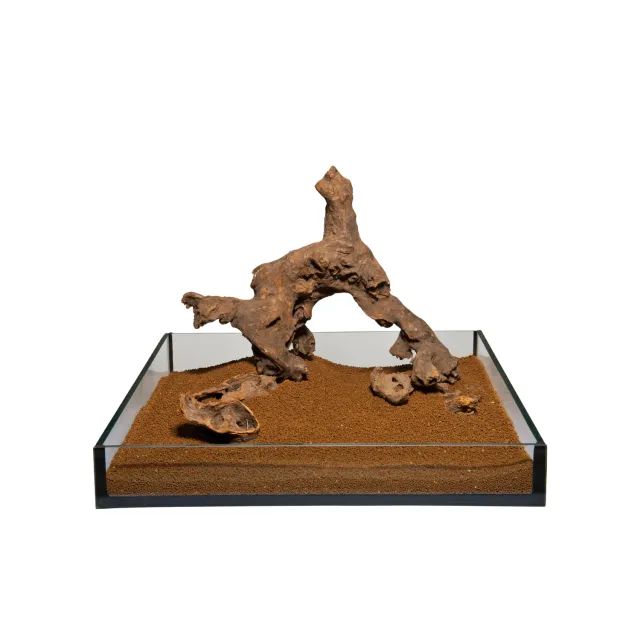 Savannah Wood trädekoration terrarium 10-22 cm naturlig