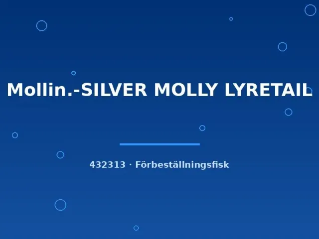 Näsets Ciklidhobby Silver Molly lyretail molly lg silver