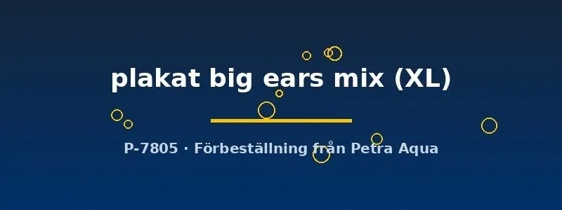 Näsets Ciklidhobby Betta plakat big ears mix kampfisk XL hane