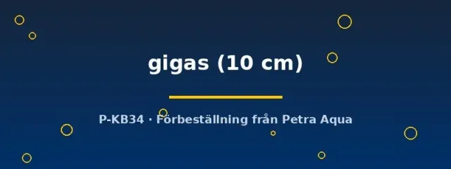 Arapaima gigas rovfisk 10 cm