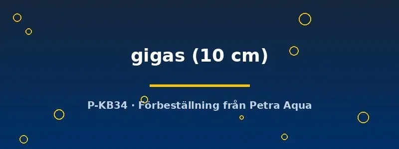 Arapaima gigas rovfisk 10 cm