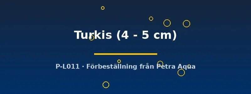 Aulonocara turkis ciklid 4–5 cm malawi