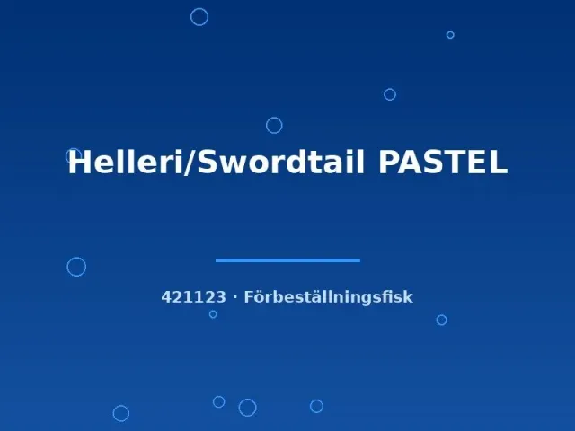 Näsets Ciklidhobby Helleri Pastel svärdbärare lg ljus