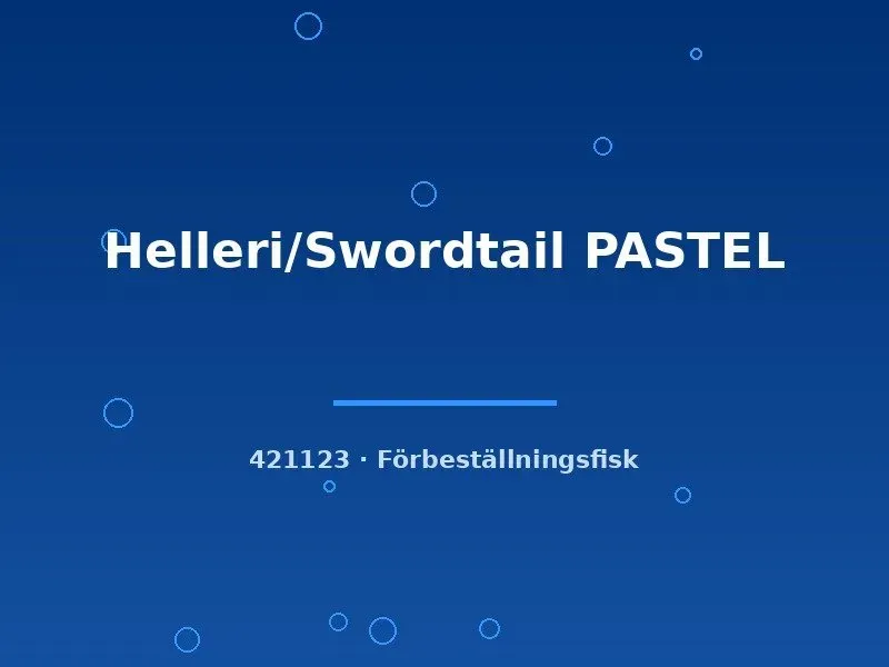 Näsets Ciklidhobby Helleri Pastel svärdbärare lg ljus