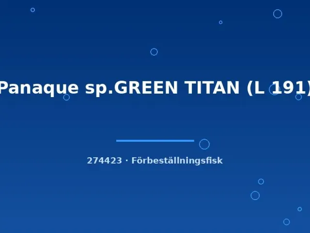 Panaque Green Titan L191 mal 5–7 cm algätare