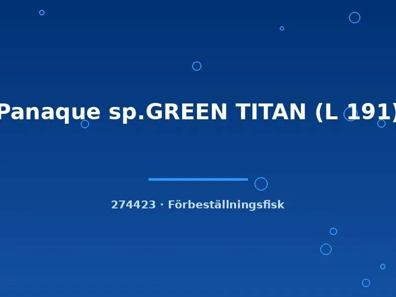 Panaque Green Titan L191 mal 5–7 cm algätare