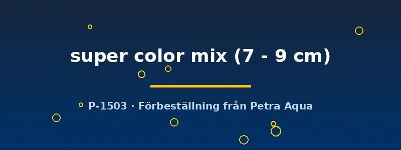Näsets Ciklidhobby Aulonocara Super Color Mix ciklid 7–9 cm