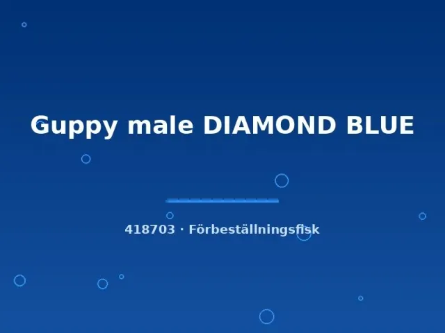 Näsets Ciklidhobby Diamond Blue guppy hane lg blå