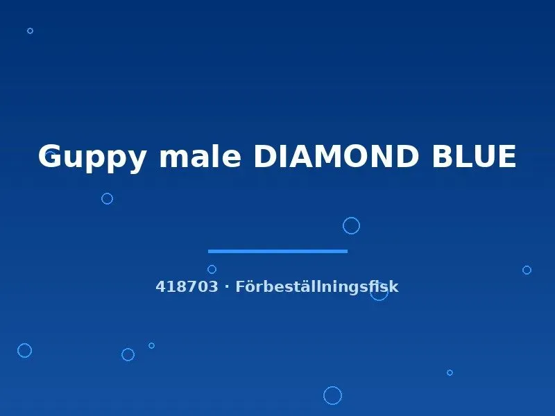 Näsets Ciklidhobby Diamond Blue guppy hane lg blå