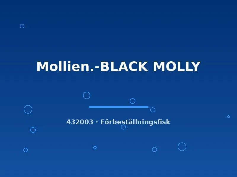 Näsets Ciklidhobby Black Molly stor levandefödare