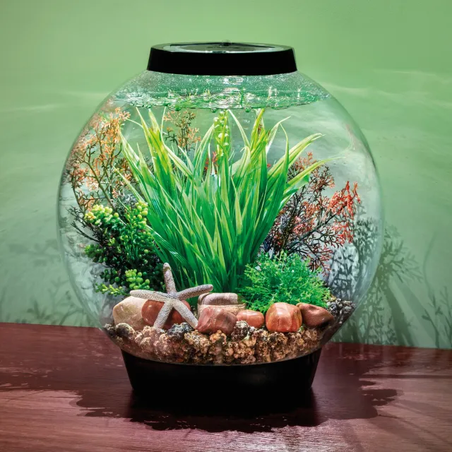 biOrb Classic 30 akvarium Palau 30 liter rund
