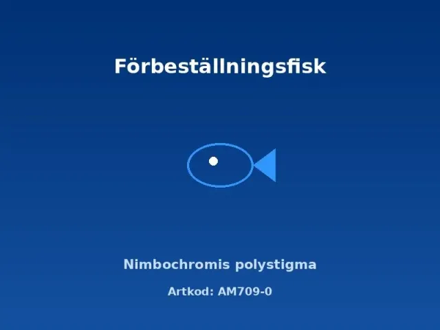 Näsets Ciklidhobby Nimbochromis polystigma ciklid 3,5–4 cm