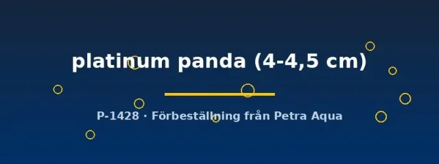 Näsets Platinum Panda skalär akvariefisk 4–4,5 cm