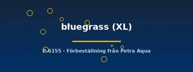 Poecilia reticulata bluegrass hona XL guppy