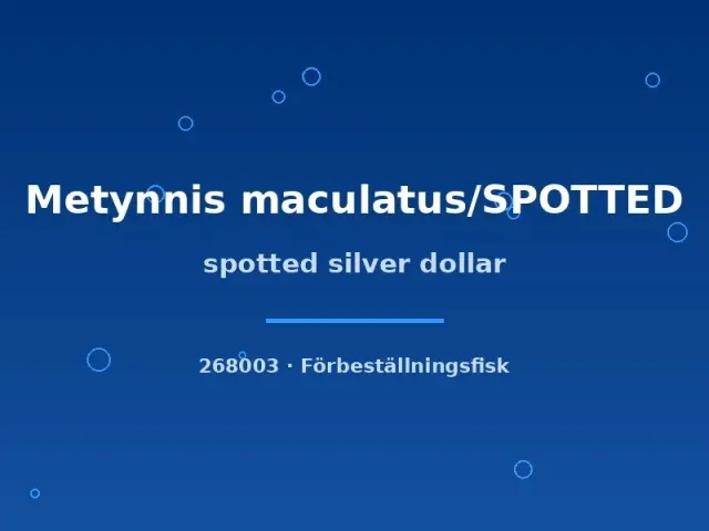 Näsets Ciklidhobby spotted silver dollar fisk 4–6 cm