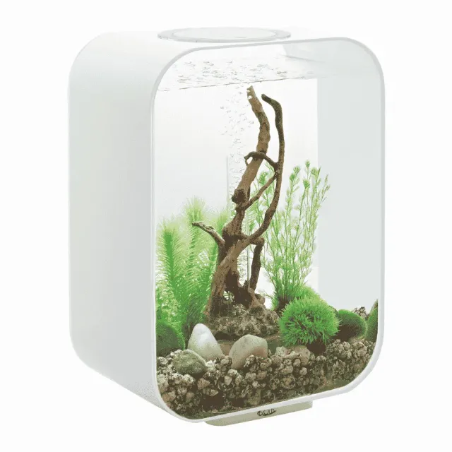 biOrb LIFE 15 LED vit akvarium 15 liter