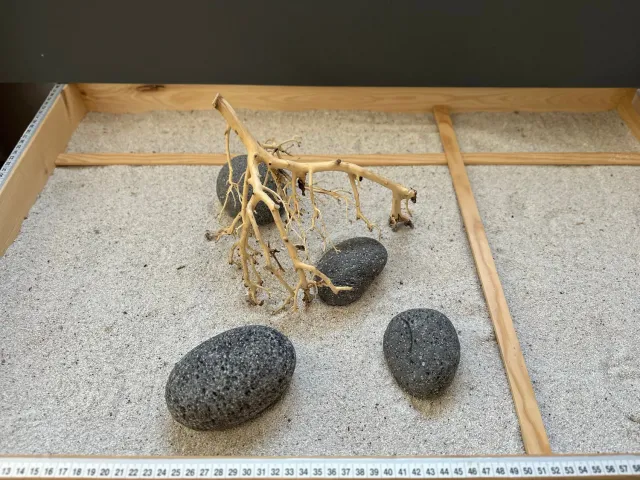 Aquascape hardscape set 3 sten + rot 33x38 cm layout