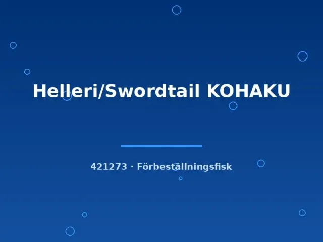 Näsets Ciklidhobby helleri kohaku md-lg svärdfisk förbeställning