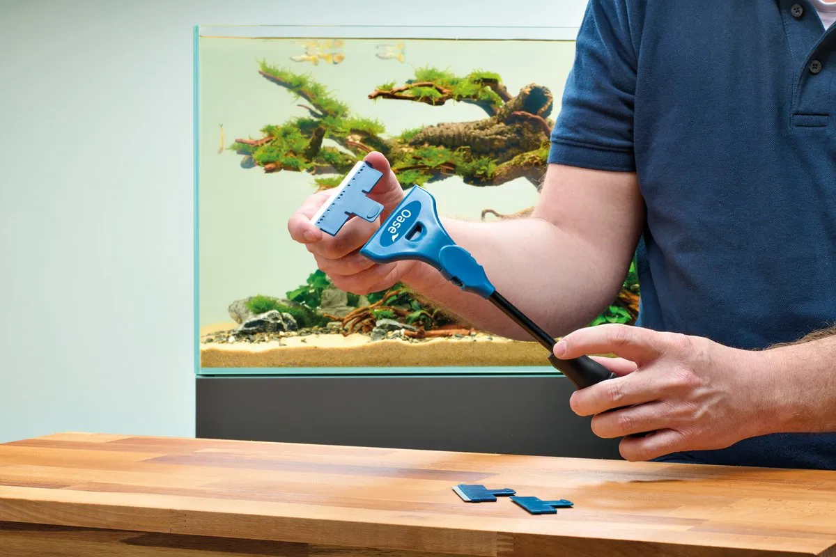 Näsets Algskrapa skrapa akvarium glas reptil algborttagare