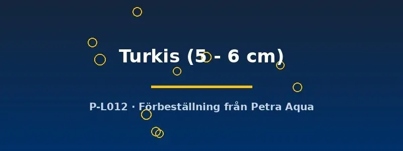 Aulonocara Turkis ciklid 5-6 cm