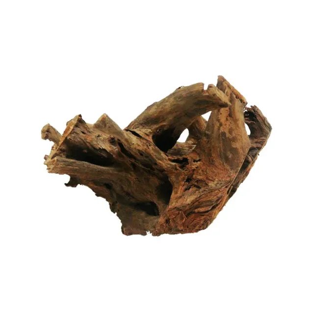 Näsets Ciklidhobby Mangroverot Medium akvariedekoration naturrot