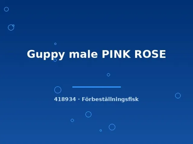 Näsets Ciklidhobby Guppy Pink Rose hane akvariefisk lg