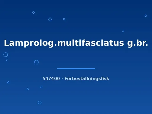 Näsets Ciklidhobby Lamprologus multifasciatus ciklid 2–3 cm snäck