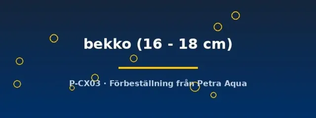 Näsets Ciklidhobby Bekko koi dammfisk 16–18 cm