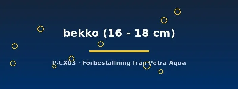 Näsets Ciklidhobby Bekko koi dammfisk 16–18 cm