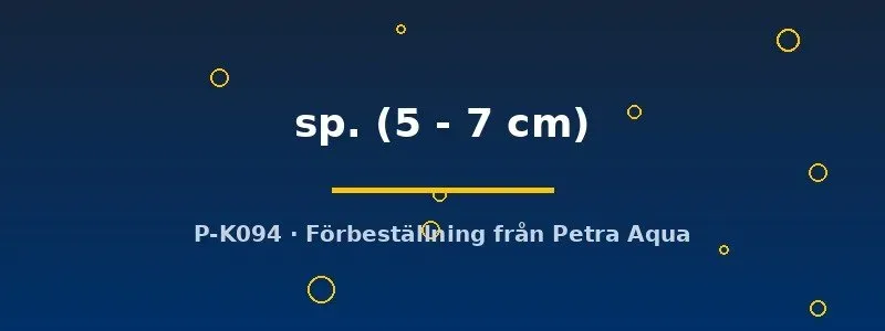 Näsets Ciklidhobby L199 Hypancistrus mal 5–7 cm grottlekare