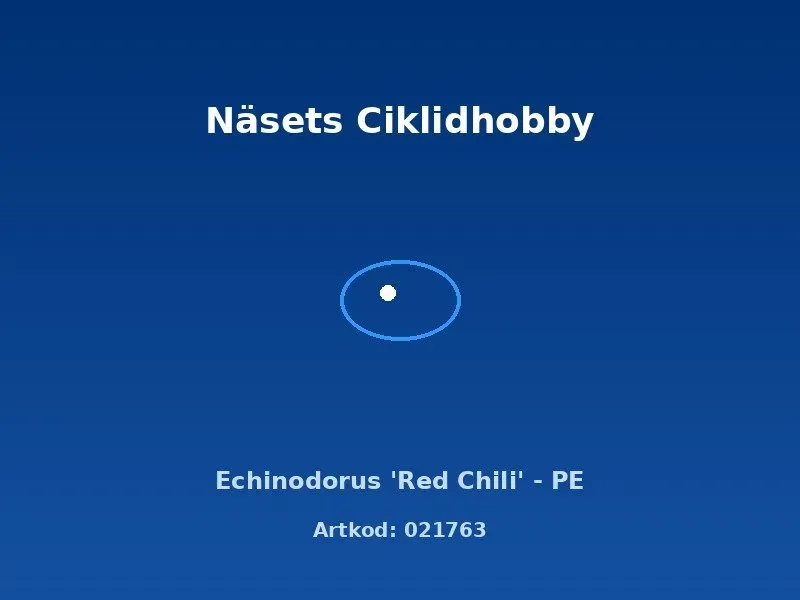 Echinodorus Red Chili PE akvarieväxt röd