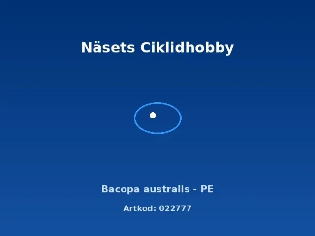 Bacopa australis PE akvarieväxt krukväxt lättskött