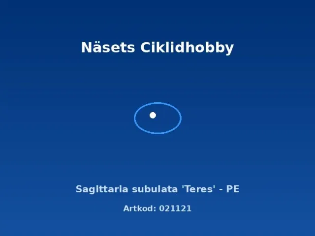 Näsets Sagittaria subulata Teres växt PE matta