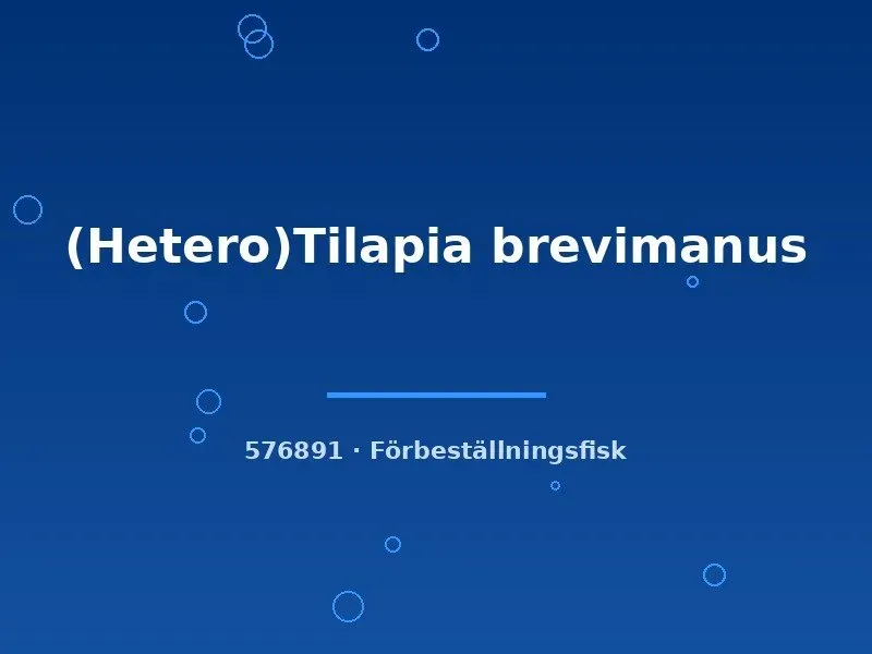 Näsets Ciklidhobby Tilapia brevimanus ciklid 3–4 cm