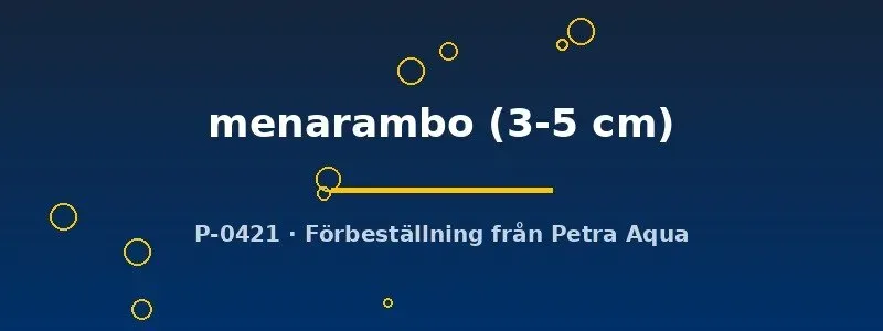 Näsets Ciklidhobby Paretroplus menarambo 3-5 cm ciklid