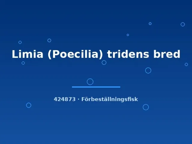 Näsets Limia tridens akvariefisk md förbeställning