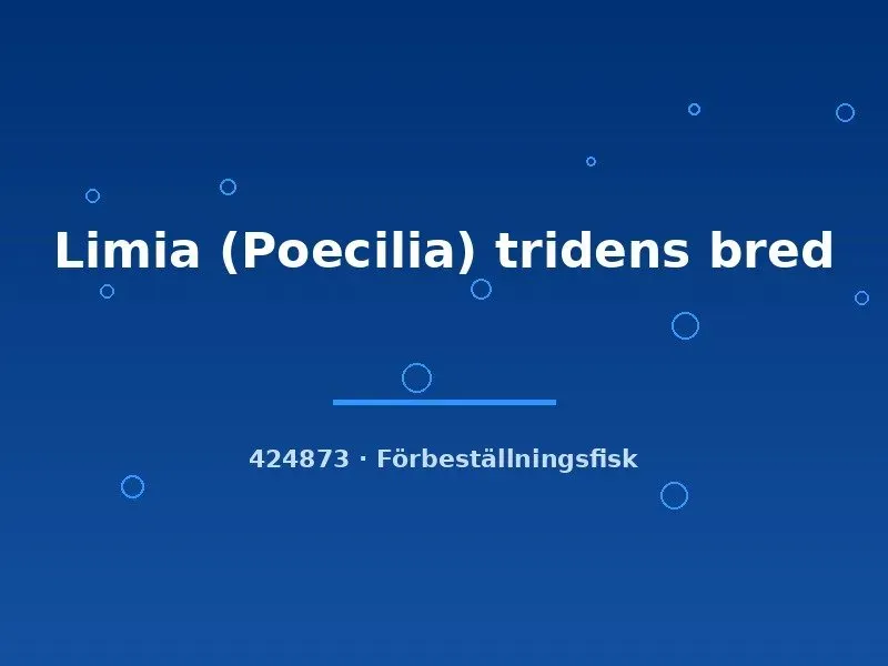 Näsets Limia tridens akvariefisk md förbeställning