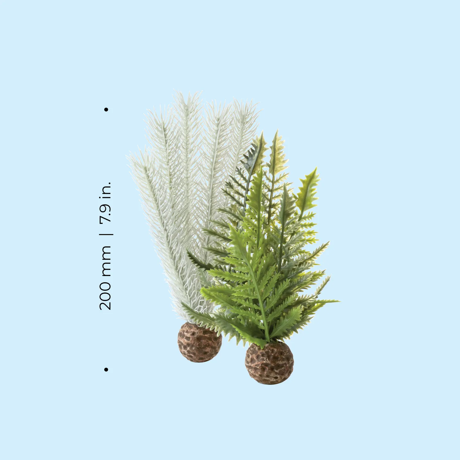 biOrb Small Thistle Fern Plant Set akvarieväxt 20 cm
