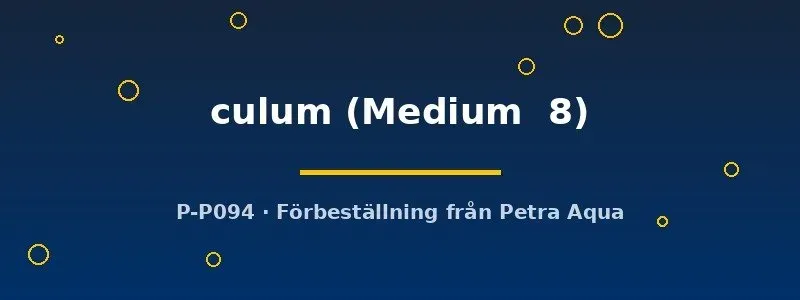 Näsets Ciklidhobby Fenestratarum culum akvarieväxt Medium 8