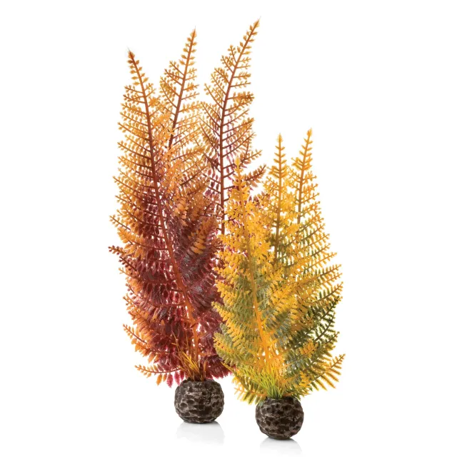 biOrb Fern Plant Set akvarieväxt flerfärgad 2-delar